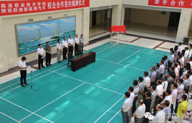 電動(dòng)汽車(chē),電動(dòng)轎車(chē),電動(dòng)汽車(chē)價(jià)格,純電動(dòng)汽車(chē)