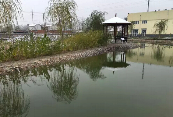 下雪天的躍迪集團(tuán)，咱也跟跟風(fēng)。。。