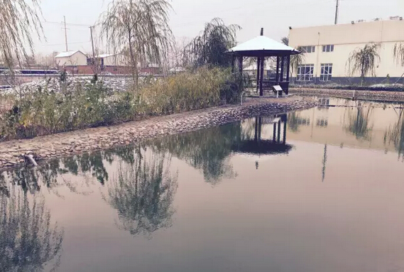 下雪天的躍迪集團(tuán)，咱也跟跟風(fēng)。。。