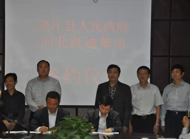 2015年躍迪集團發(fā)展大事記