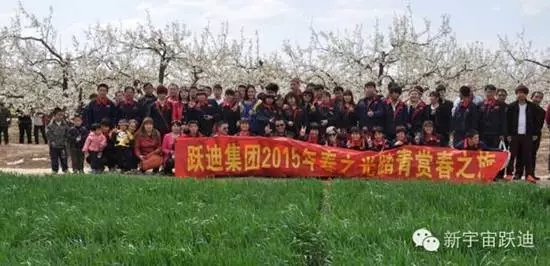 2015年躍迪集團發(fā)展大事記