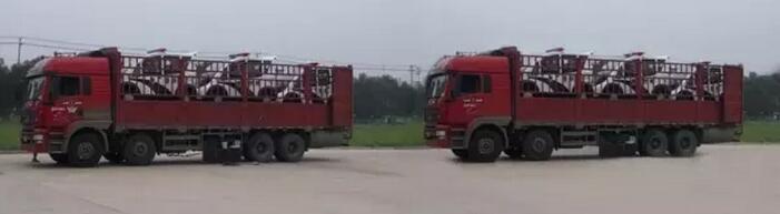 躍迪移動(dòng)城管執(zhí)法站、躍迪電動(dòng)巡邏車大批量發(fā)往首都北京——有躍迪，才安心